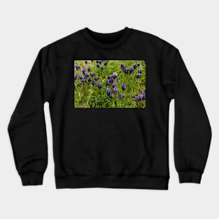 Muscari flowers on a green field Crewneck Sweatshirt